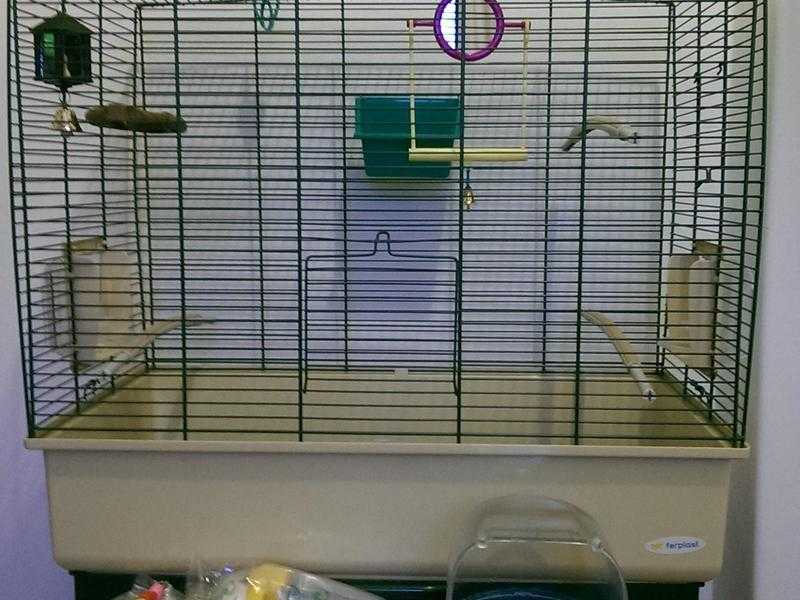 Budgie cage