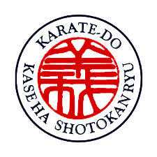 Budo Karate in Abingdon