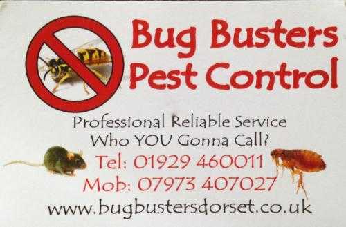 Bug busters pest control services