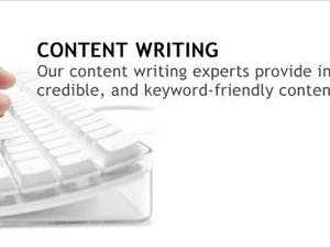 Business Report Writing Service  ContentWritings.com