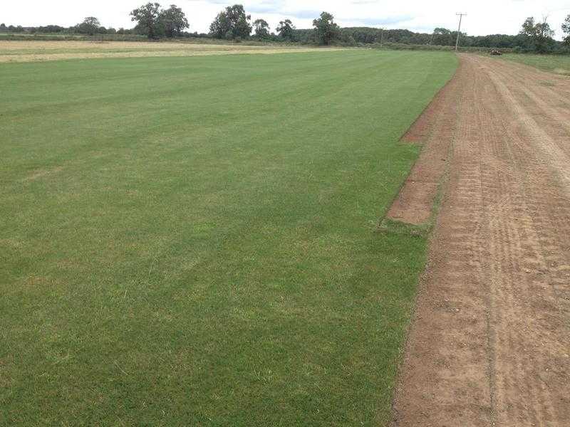 Buy high-quality turf at affordable cost in Leicestershire