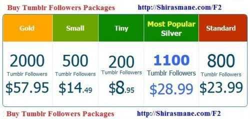 Buy Tumblr Followers 500 followers 14.49 ONLY..