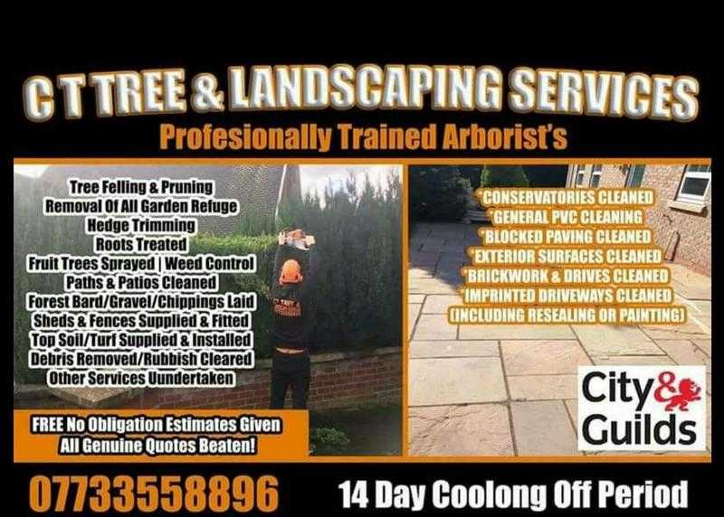 C T tree and landscaping services