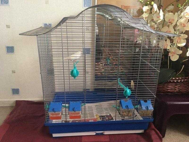 CAGE FOR ALL TYPES OF BIRDS