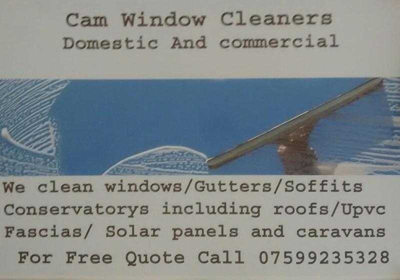 Cam window cleaners