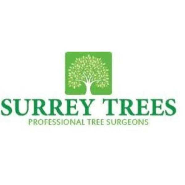 Camberley tree services