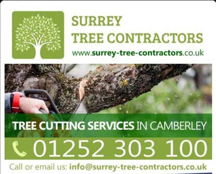 camberley tree surgeons