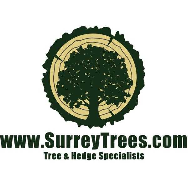 Camberley tree surgeons