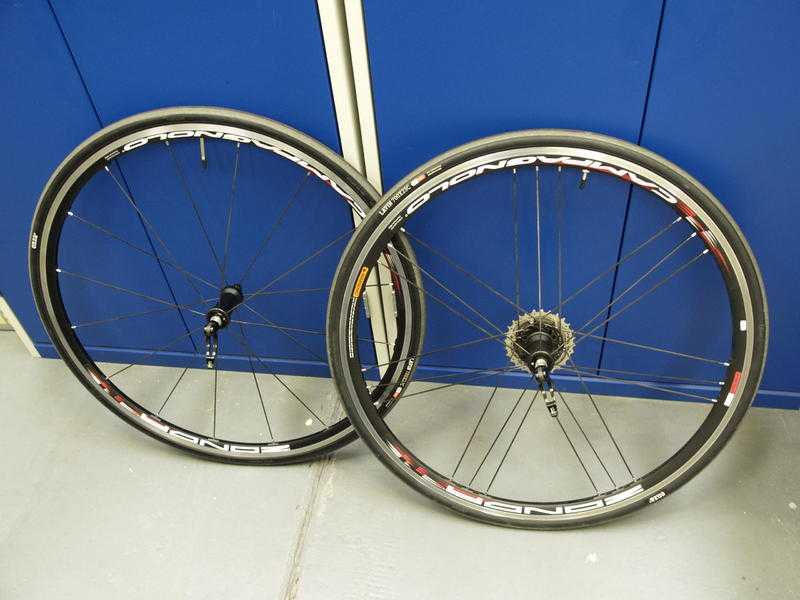 Campagnolo Zonda Racing Bike Wheels