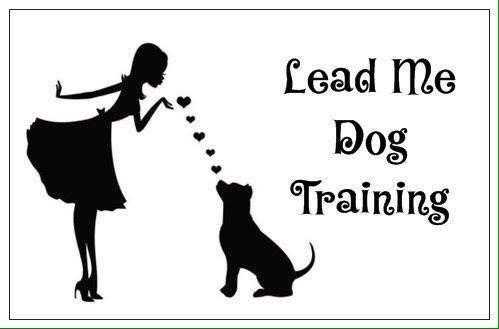 Canine behaviourist amp holistic therapists