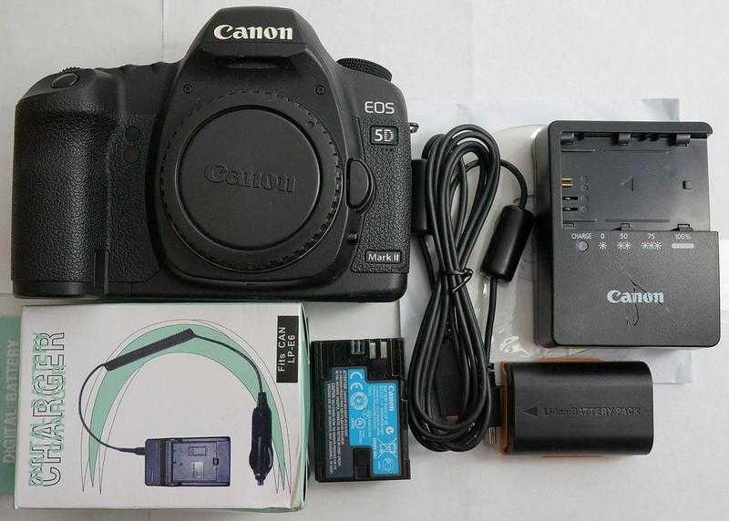 Canon EOS 5D Mark III Digital Camera (Body Only)