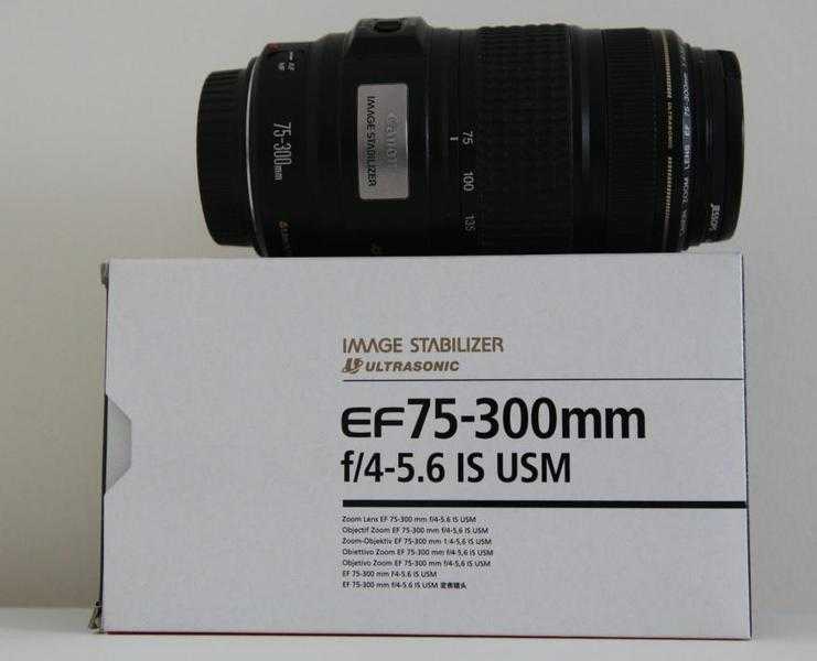 Canon Zoom Lens 75-300mm