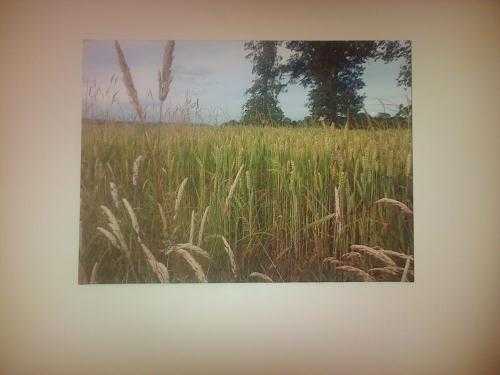 Canvas print of Westerham landscape