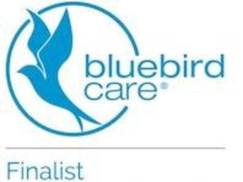 Care Assistants  Home Care  Domiciliary Care Assistants - Bluebird Care Redbridge