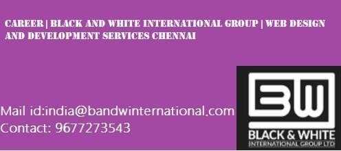 Career  Black and white international group  Web design and development services chennai