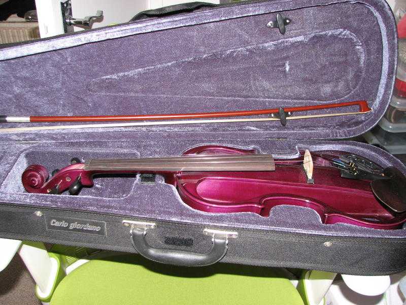 Carlo giordano Purple Electric Violin