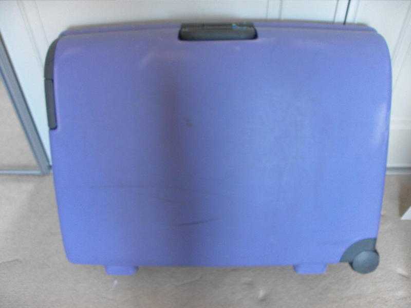 Carlton Lilac Suitcase