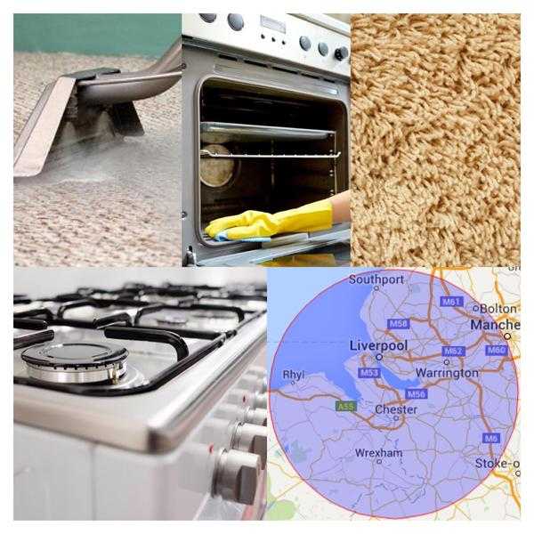 Carpet amp Oven cleaning specialists