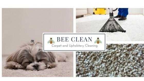 Carpet and Upholstery Cleaning Services