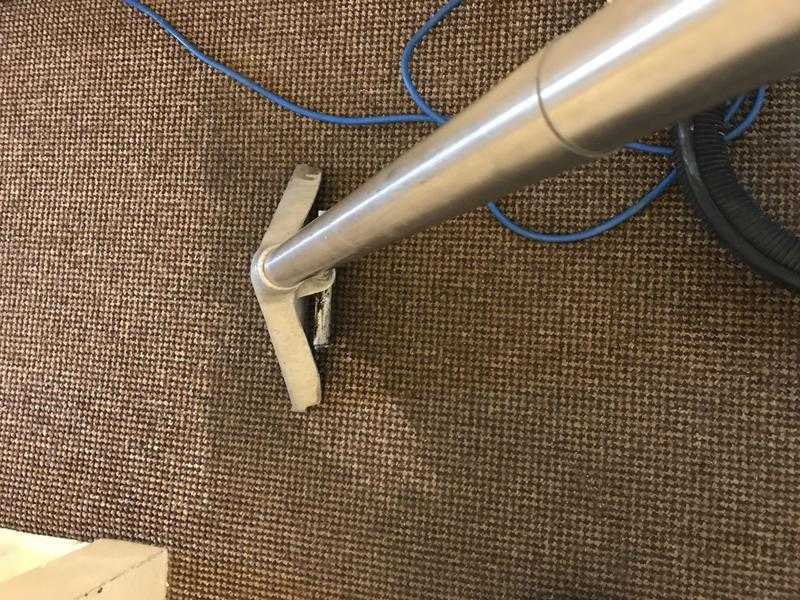 carpet cleaning