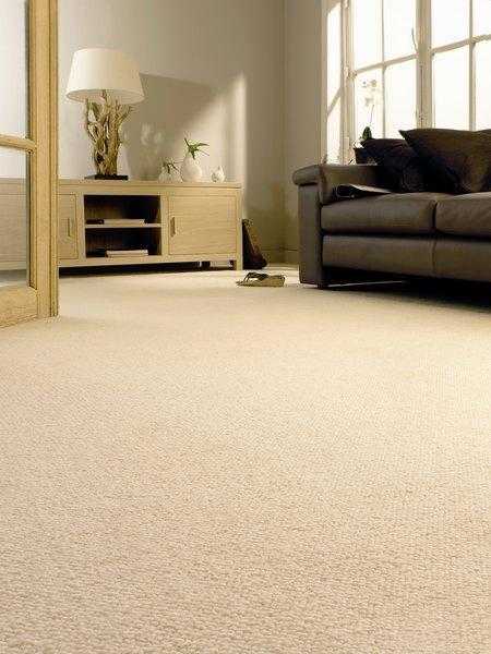 Carpet cleaning. Cleaning service.