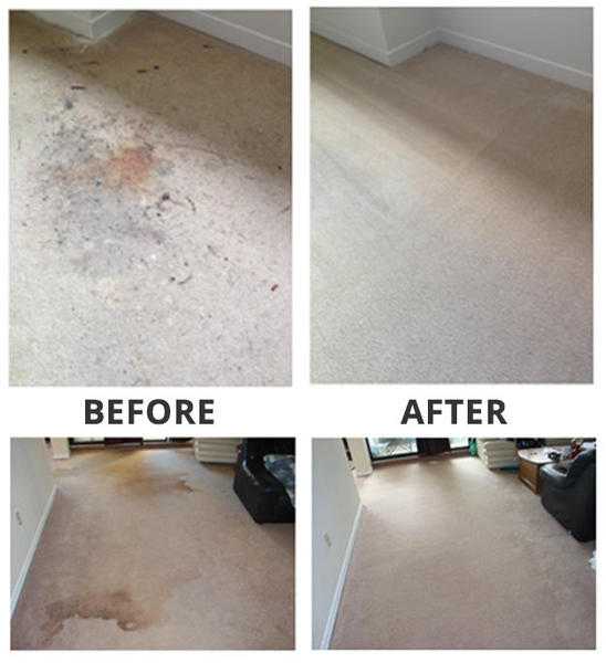 Carpet Cleaning Service Greenwich