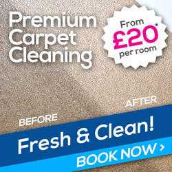 Carpet, Rug amp Upholstery Cleaning Services