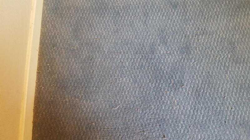 carpet small pattern blue free to collect