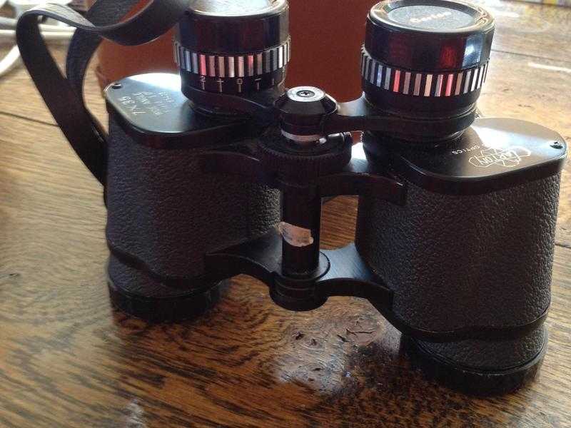 Carton binoculars