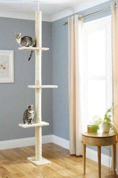 Cat scratching posts