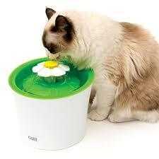 Catit Cat water fountain brand new with box