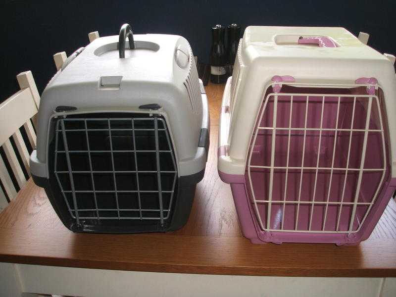 CatPet Carrier