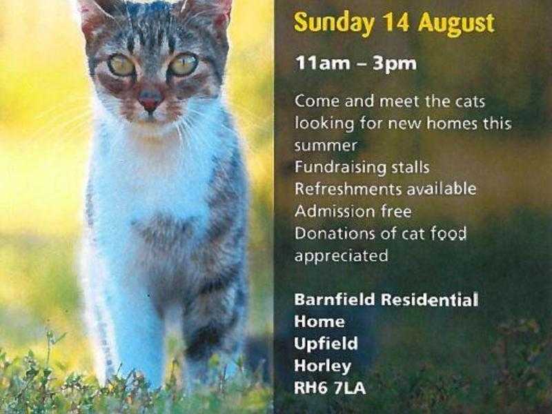 Cats Protection Homing Show - Horley 14th August