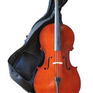 Cellos small size for young learners needed