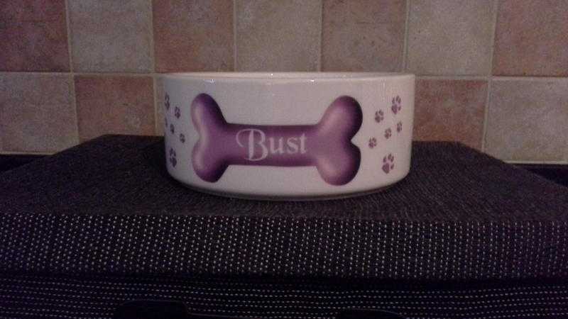 Ceramic CatSmall Dog Bowl (Personalise with Name)