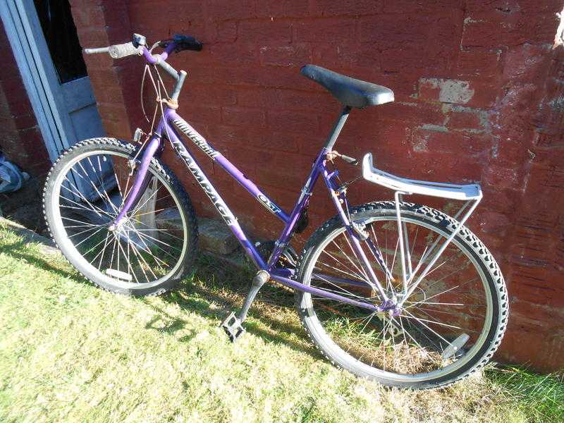 Cheap bikes for the summer