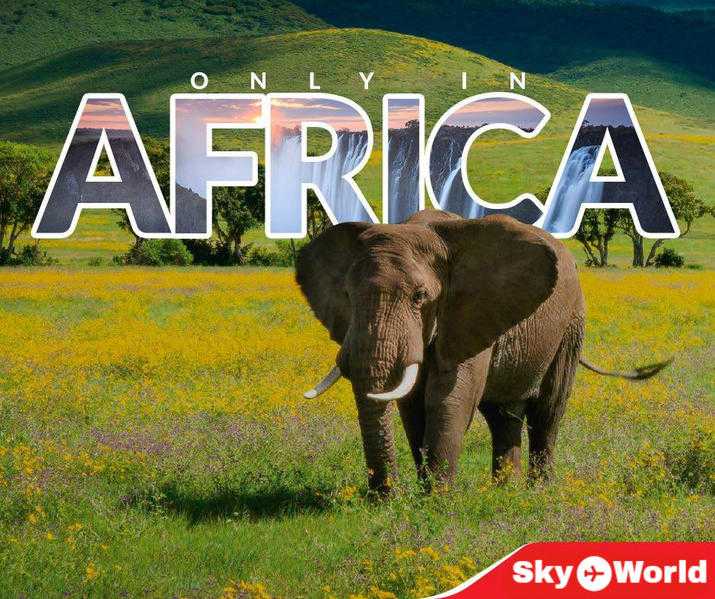 Cheap Flights to Harare from UK ( Book, Buy and Fly in Just 50 - call at  )