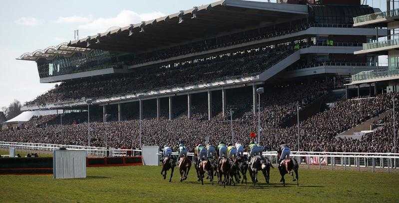 Cheltenham gold cup 1 bed house to rent for cheltenham races