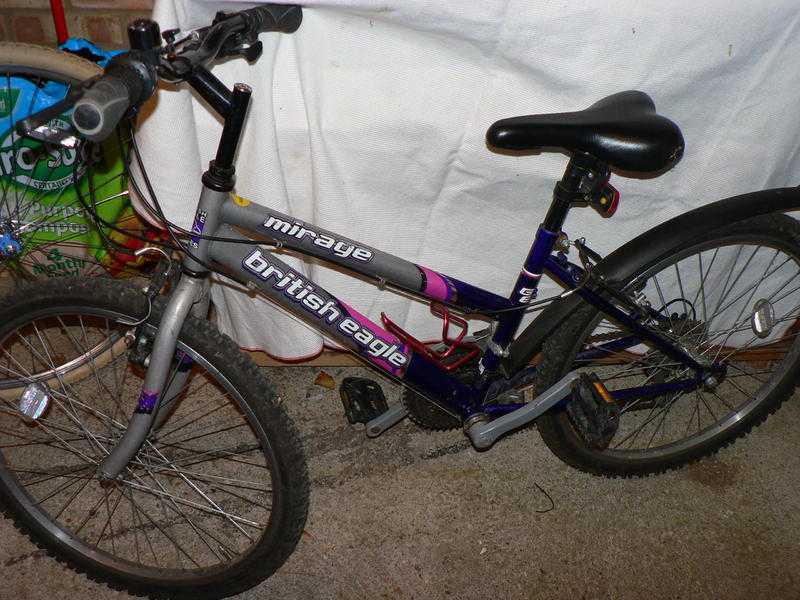 Child039s Mountain Bike