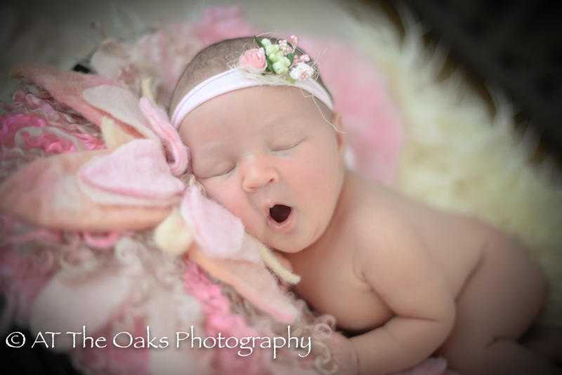 Children, Family, Maternity amp Newborn photographer