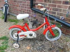 childs bicycle