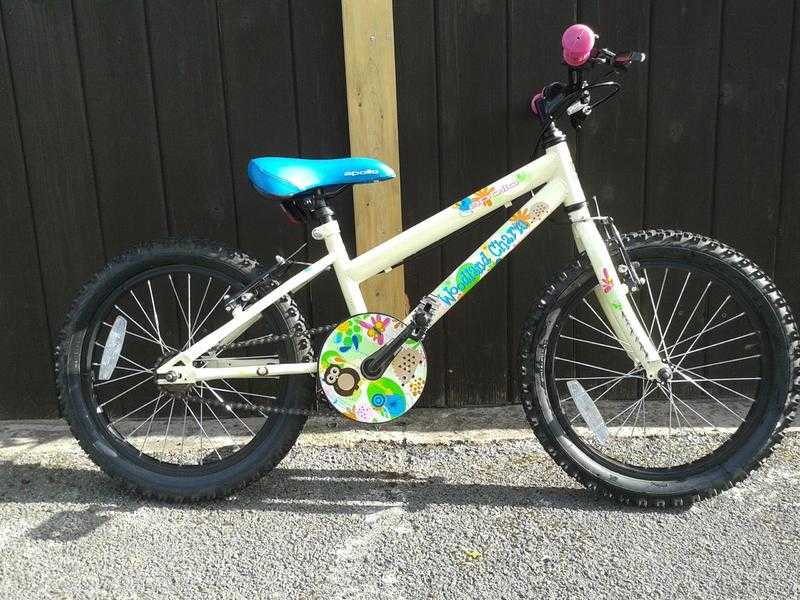 Childs Bike