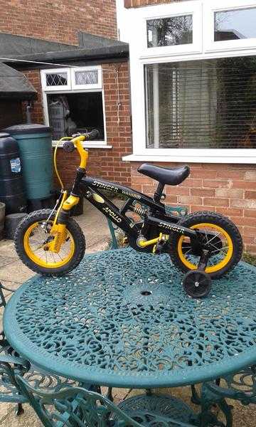 Childs Bike