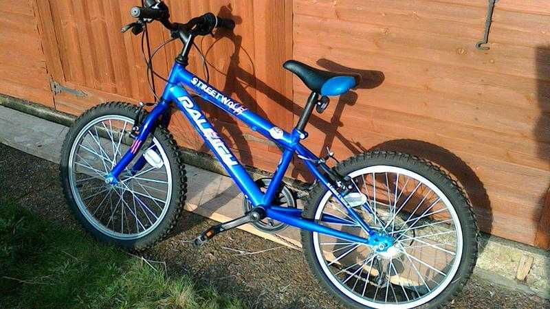 Childs Raleigh Bicycle