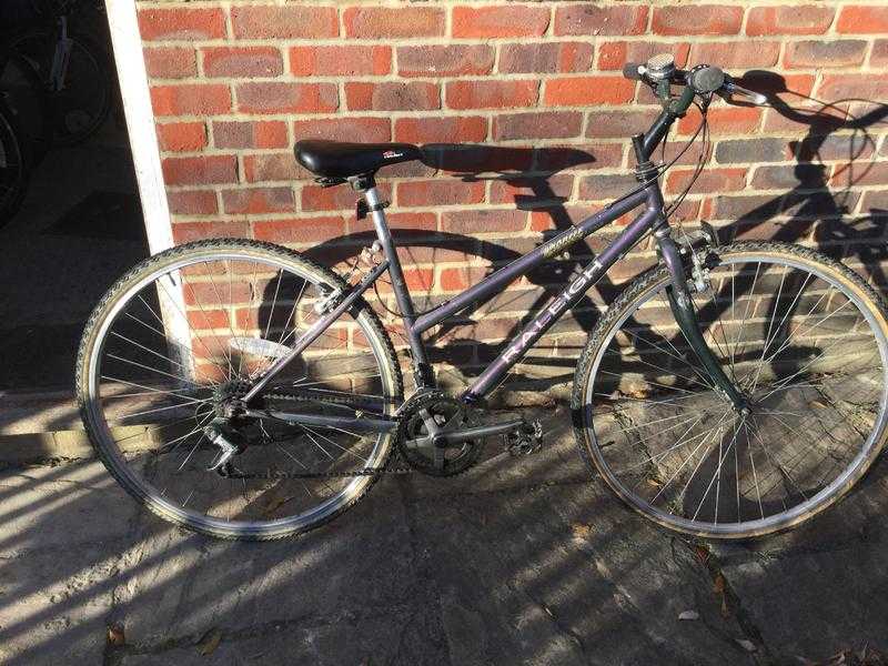 Classic Lady039s Raleigh Pioneer bike.