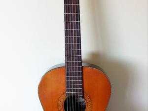 CLASSICAL GUITAR FOR THE PROFESSIONAL GUITARIST