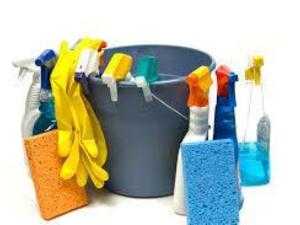 cleaner wanted