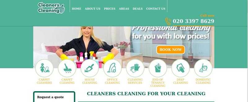 Cleaners Cleaning Ltd.