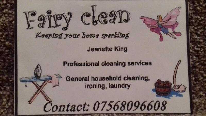 Cleaning and Ironing  Service