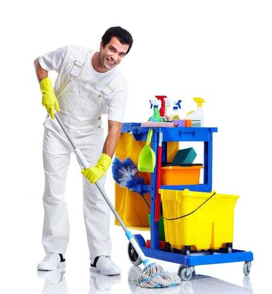 Cleaning service for the school